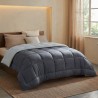 HUDSON - Couette Légere Microfibre - 200gr/m2 - Gris & Argent - 240 x 260 cm