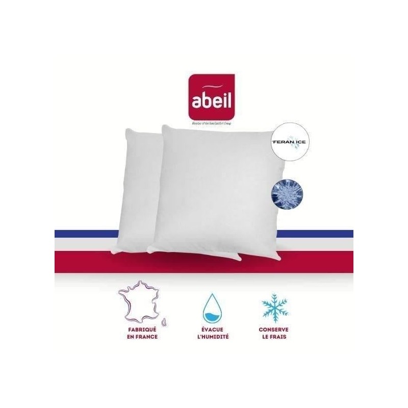 ABEIL Lot de 2 Oreillers moelleux ICEBERG 60x60cm