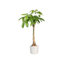 ELHO Pot de fleurs rond B.FOR Soft - Plastique - Ø24,7 x H 23,3 cm - Blanc