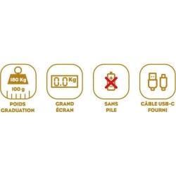 Pese-personne - LITTLE BALANCE - 8729 - Tortues gold métallisées - USB-répara...