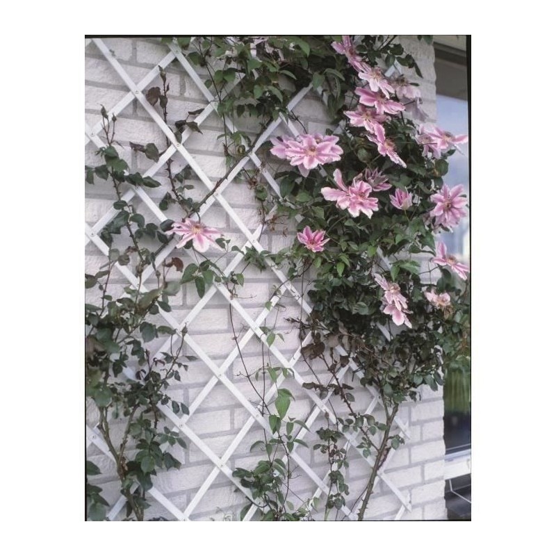 Treillis extensible plastique vert - NATURE - 100x200cm - Profil 23x7 mm - Se...