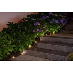 Guirlande solaire a planter 10 LED blanches - GALIX - 5m - 0,5W - 100 Lumens ...
