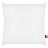 ABEIL Lot de 2 Oreillers Douceur - 60 x 60 cm - Blanc