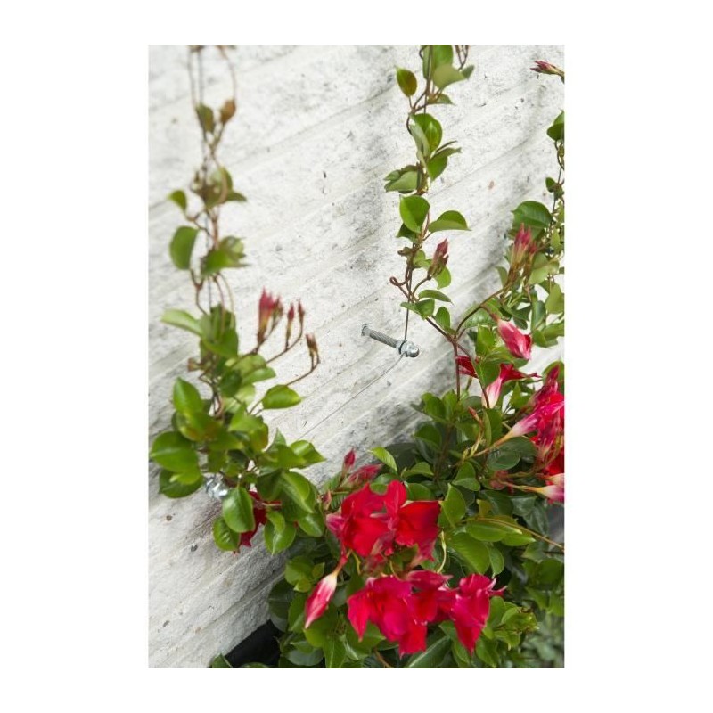 Treillis métallique - NATURE - Kit de palissage pour plantes grimpantes - fil...